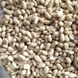 آگهی مشابه آگهی فروش بادام زمینی چینی در گروه بادام - درختی کوهی زمینی فروش عمده در یکمیوه