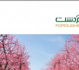 آگهی مشابه استخدام نیرو برای خدمات مشاوره ای و کشاورزی در گروه سایر استخدام در یکمیوه