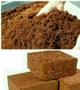 آگهی مشابه فروش تخصصی کوکوپیت در گروه کود و مواد شیمیایی - اوره پتاس مرغی کمپوست آهن در یکمیوه