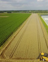 آگهی مشابه فروش کمباین نیوهلند در گروه ماشین آلات کشاورزی - تراکتور تیلر کمباین مدرن در یکمیوه