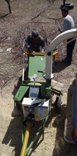 آگهی مشابه دستگاه سر شاخه خردکن در گروه ابزار ها و تجهیزات کشاورزی - دستی برقی ماشینی بیل کلنگ در یکمیوه