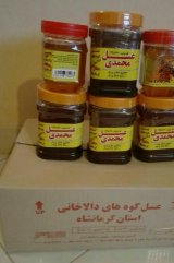 آگهی مشابه فروش عسل دالاخانی در گروه عسل و فرآورده ی مربا - طبیعی گون کوهی آویشن در یکمیوه