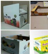 آگهی مشابه فروش انواع کارتن محصولات صادراتی در گروه انواع بسته بندی کاغذی در یکمیوه