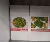 آگهی مشابه فروش انواع کارتن محصولات در گروه انواع بسته بندی کاغذی در یکمیوه