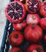 آگهی مشابه فروش انار در گروه انار - ساوه شیراز شیرین ترش در یکمیوه
