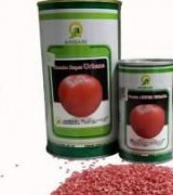 آگهی مشابه فروش بذر گوجه فرنگی در گروه خرید فروش بذر - انواع محصول کشاورزی گوجه کتان میوه درخت در یکمیوه