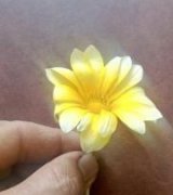 آگهی مشابه فروش انواع نشا گوجه فرنگی در گروه خرید فروش نشا - انواع گوجه برنج کاهو پیاز کاری فرنگی در یکمیوه