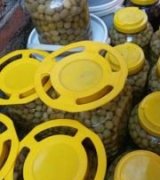 آگهی مشابه فروش زیتون در گروه خرید فروش عمده زیتون - سبز سیاه بندری پاکستانی در یکمیوه