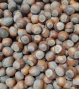 آگهی مشابه فروش فندق خام در گروه خرید فروش عمده فندق - میوه تازه خام تیره عمده فروشی در یکمیوه