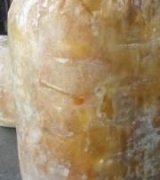 آگهی مشابه فروش انبه منجمد باهسته در گروه خرید فروش عمده انبه - قرمز سبز گیلان هسته پاکستان در یکمیوه