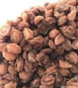 آگهی مشابه فروش آلو بخارا طجر در گروه فرآورده های آلو و آلوچه - بخارا خورشتی مسما خشک در یکمیوه