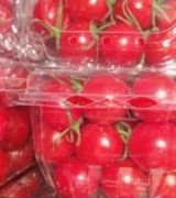 آگهی مشابه فروش عمده و تک میوه ارگانیک در گروه خرید فروش عمده سایر محصولات باغبانی مرکبات در یکمیوه