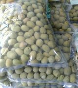 آگهی مشابه فروش زیتون درشت طارم بسته بندی در گروه خرید فروش عمده زیتون - سبز سیاه بندری پاکستانی در یکمیوه