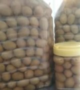 آگهی مشابه فروش زیتون وارداتی در گروه خرید فروش عمده زیتون - سبز سیاه بندری پاکستانی در یکمیوه