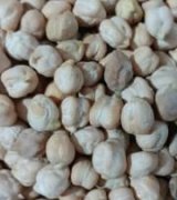 آگهی مشابه فروش بذر نخود سفید دیم در گروه خرید فروش عمده غلات و حبوبات - لپه عدس نخود لوبیا در یکمیوه