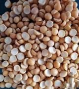 آگهی مشابه فروش لپه ایرانی در گروه خرید فروش عمده غلات و حبوبات - لپه عدس نخود لوبیا در یکمیوه