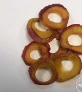 آگهی مشابه فروش عمده میوه خشک در گروه میوه های خشک - پرتقال سیب حبه ورق صنعتی خانگی در یکمیوه