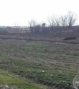 آگهی مشابه فروش باغچه 1000 متری در گروه باغ و باغچه - کشاورزی باغبانی میوه خرید فروش در یکمیوه