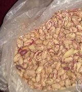 آگهی مشابه فروش لوبیا چیتی در گروه خرید فروش عمده غلات و حبوبات - لپه عدس نخود لوبیا در یکمیوه