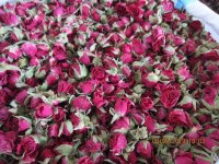 آگهی مشابه فروش غنچه و گلبرگ خشک گل رز در گروه خرید فروش عمده گیاهان دارویی - محصول گلخانه در یکمیوه