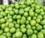 آگهی مشابه آلوچه درجه یک در گروه خرید فروش عمده آلو - زرد خاکی شابلون سانتریزه سیاه در یکمیوه