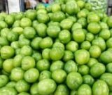 آگهی مشابه فروش آلوچه گوجه سبز مازندران در گروه خرید فروش عمده آلو - آلوچه گوجه سبز زرد خاکی شابلون سانتریزه سیاه در یکمیوه