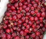 آگهی مشابه فروش گیلاس تازه در گروه خرید فروش عمده گیلاس - تکدانه شیرین ترش رنگی خوشه سیاه در یکمیوه