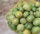 آگهی مشابه فروش لیمو ترش به صورت عمده در گروه خرید فروش عمده لیمو ترش - شیرازی باریج سنگی در یکمیوه