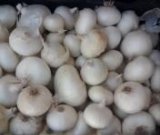 آگهی مشابه فروش پیاز محلی در گروه خرید فروش عمده پیاز - قرمز سفید زرد ترشی تازه انباری در یکمیوه
