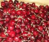 آگهی مشابه فروش گیلاس کرتی ممتاز در گروه خرید فروش عمده گیلاس - تکدانه شیرین ترش رنگی خوشه سیاه در یکمیوه