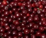 آگهی مشابه فروش البالو از باغ در گروه خرید فروش عمده آلبالو - رسمی خارجی سرخ قرمز مربایی شربتی در یکمیوه