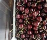 آگهی مشابه فروش میوه گیلاس در گروه خرید فروش عمده گیلاس - تکدانه شیرین ترش رنگی خوشه سیاه در یکمیوه