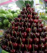 آگهی مشابه فروش گیلاس تازه چین در گروه خرید فروش عمده گیلاس - تکدانه شیرین ترش رنگی خوشه سیاه در یکمیوه