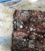 آگهی مشابه فروش مستقیم خرما در گروه خرید فروش عمده خرما - کبکاب تازه زاهدی خشک خارک در یکمیوه