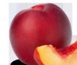 آگهی مشابه فروش شلیل در گروه خرید فروش عمده شلیل - شمس شبرنگ مغان انجیری سبز رفعتی در یکمیوه