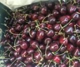 آگهی مشابه گیلاس آبدار در گروه خرید فروش عمده گیلاس - تکدانه شیرین ترش رنگی خوشه سیاه در یکمیوه