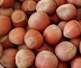 آگهی مشابه فروش فندق تازه در گروه خرید فروش عمده فندق - میوه تازه خام تیره عمده فروشی در یکمیوه