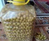 آگهی مشابه فروش زیتون متوسط در گروه خرید فروش عمده زیتون - سبز سیاه بندری پاکستانی طارم در یکمیوه