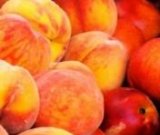 آگهی مشابه فروش هلو در گروه خرید فروش عمده هلو - زعفرانی حاج کاظمی سفید هسته جدا در یکمیوه