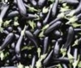 آگهی مشابه فروش بادمجان محلی در گروه خرید فروش عمده بادمجان - قلمی دلمه کبابی مشکی سفید در یکمیوه