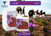 آگهی مشابه قیمت کود زعفران بجستان در خراسان رضوی در گروه خرید فروش کود و مواد شیمیایی - اوره پتاس مرغی کمپوست آهن در یکمیوه