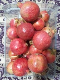 آگهی مشابه 800 کیلو انار جرقویه در اصفهان در گروه خرید فروش عمده انار - ساوه شیراز شیرین ترش در یکمیوه