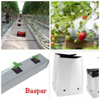 آگهی مشابه کیسه کشت گروبک در زابل  در گروه خرید فروش تجهیزات گلخانه - صنعتی خانگی هوشمند دست دوم در یکمیوه