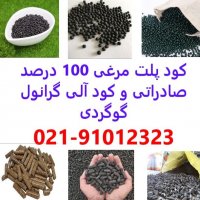 آگهی مشابه کود آلی-پلت مرغی صادراتی در ساری در گروه خرید فروش کود و مواد شیمیایی - اوره پتاس مرغی کمپوست آهن در یکمیوه