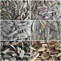 فروش تخمه عمده کدووآفتابگردان در رشت در گروه آجیل - فروش عمده محصولات در یکمیوه