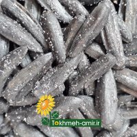 فروش تخمه امیر در شیراز در گروه خرید فروش عمده آفتابگردان - تخمه خوی دیم گل در یکمیوه