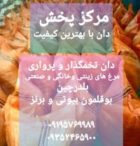 دان تخمگذار و پرواری تمامی طیور در کمال شهر در گروه خوراک دام و طیور - پرواری شیری علوفه یونجه در یکمیوه