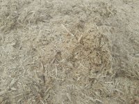 کاه نیشکر باگاس در خرمشهر در گروه خوراک دام و طیور - پرواری شیری علوفه یونجه در یکمیوه
