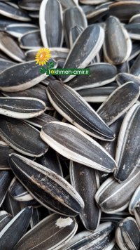 تخمه دورسفید وتخمه سیاه در چالوس در گروه انواع خشکبار - فروش مغز دانه فروش عمده در یکمیوه