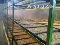 سینی کشت علوفه هیدروپونیک در تهران در گروه خرید فروش سایر محصولات تجهیزات کشاورزی در یکمیوه